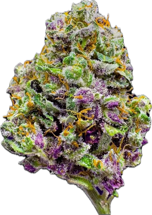 Cherry Cola cannabis flower bud