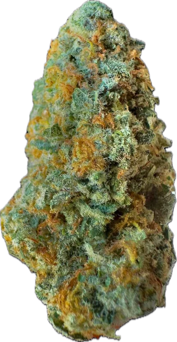Grape Stomper cannabis flower bud