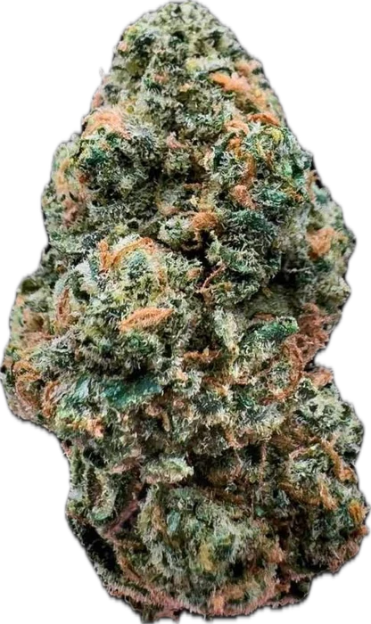 Lemon Cherry Gelato cannabis flower bud